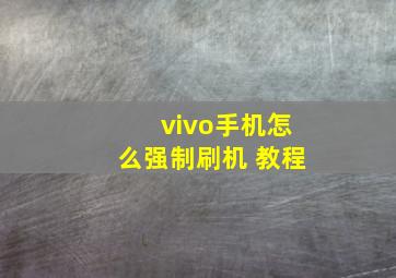 vivo手机怎么强制刷机 教程